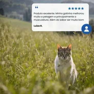 Racao N-D Spirulina Gatos avaliacao de cliente